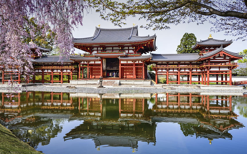 Byodo In Temple, Япония, езеро, отражение, пролет, череша HD тапет