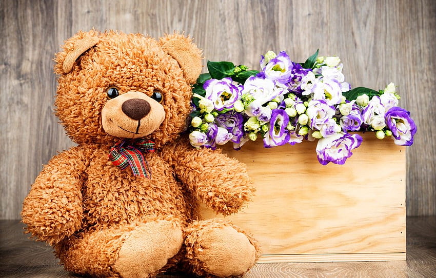 flowers, gift, bouquet, bear, love, flowers, romantic, Flower Teddy Bear HD wallpaper