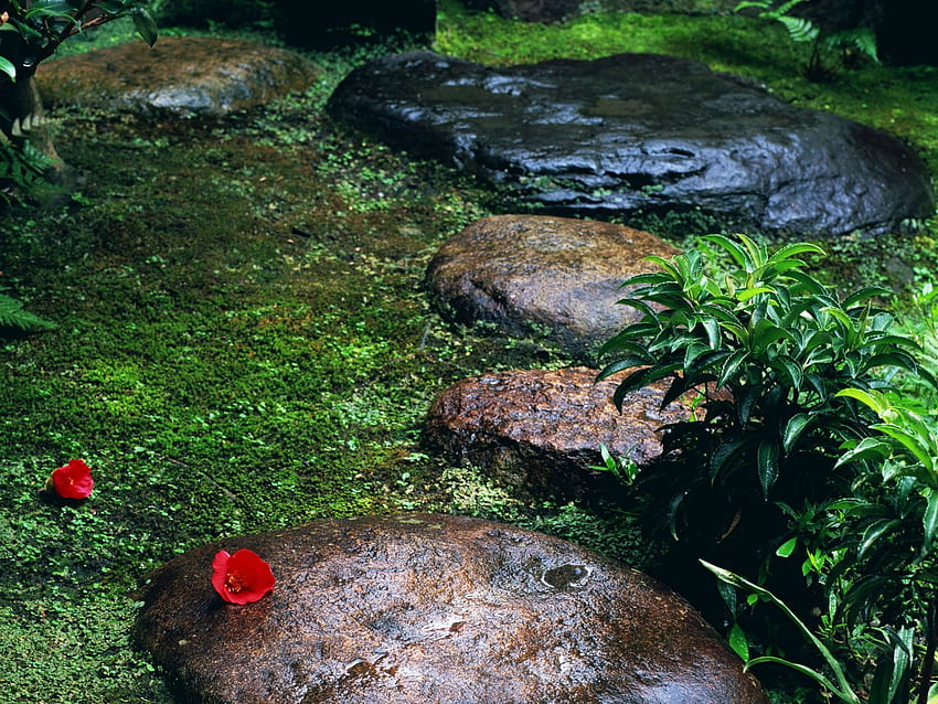 Japanese Meditation Garden Rain Rainy 1600 1200 :, Meditation Japanese Water HD wallpaper
