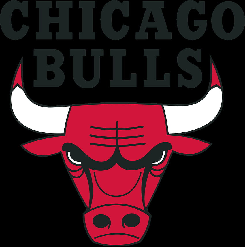 logotipo do chicago bulls - grande Papel de parede de celular HD