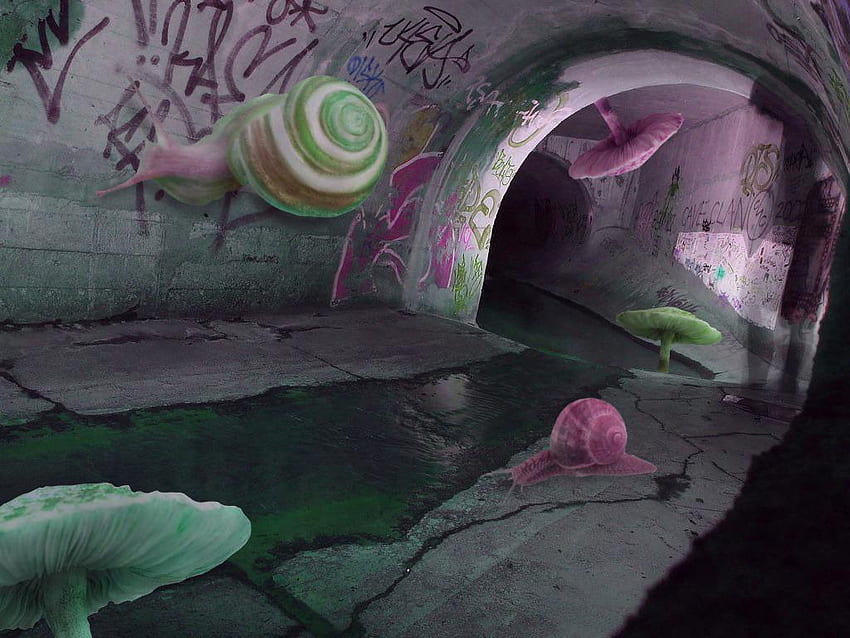oh snail?: weirdcore, Dreamcore HD wallpaper