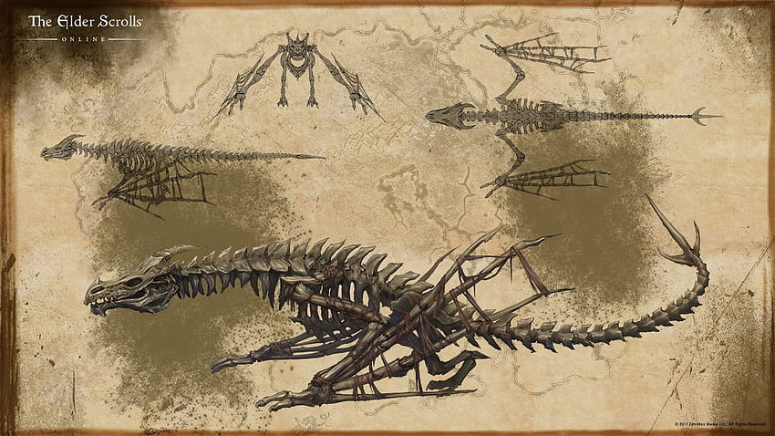 Ossos de Dragão - The Elder Scrolls Online, Esqueleto de Dragão papel de parede HD