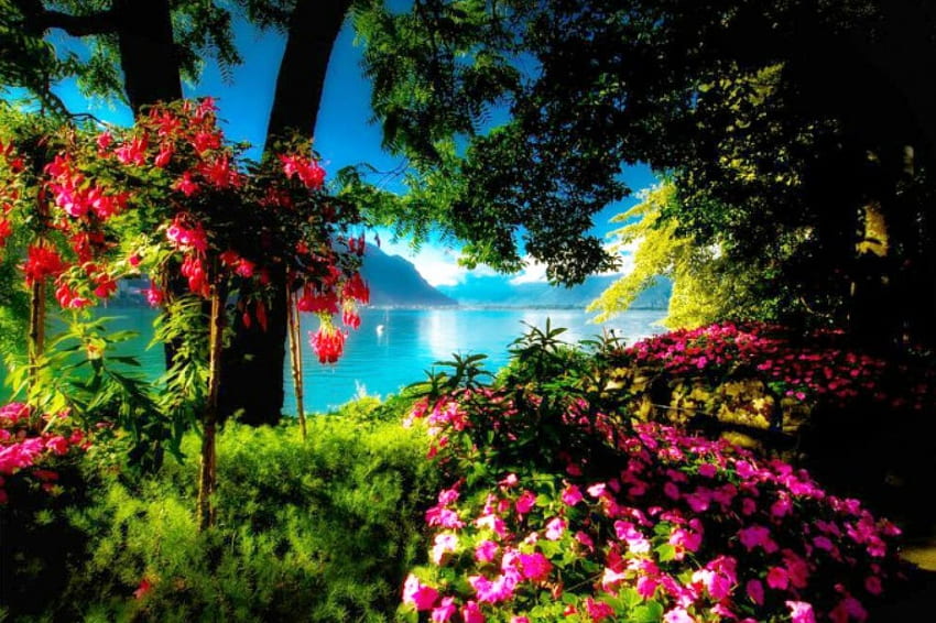 Монтрьо, Швейцария, пролет, дървета, красиви, цветя, планини, езеро, езеро HD тапет