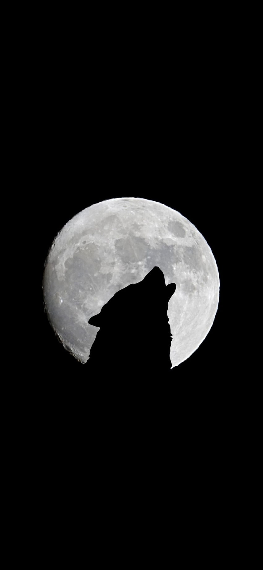 full moon wolf howl bw q samsung [] for your , Mobile & Tablet. Explore Black Wolf Galaxy . Black Wolf Galaxy , Galaxy HD phone wallpaper