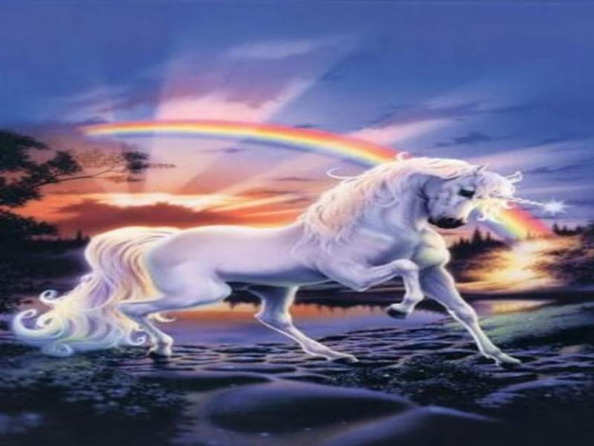 Unicornios-Arcoiris, unicornio, arcoiris fondo de pantalla