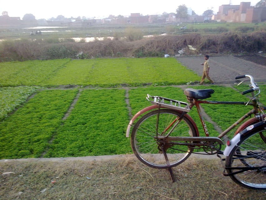 Fahrrad, Fahrräder, Stadtherausforderung, Feld, Gras, Grünland, Indien Natur HD-Hintergrundbild