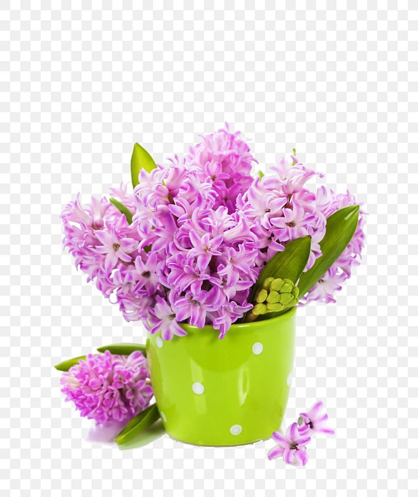 Lale Çiçeği Leylak Sümbül , PNG, px, Lale, Yapay Çiçek, Mavi, Krizantem, Kesme Çiçek HD telefon duvar kağıdı