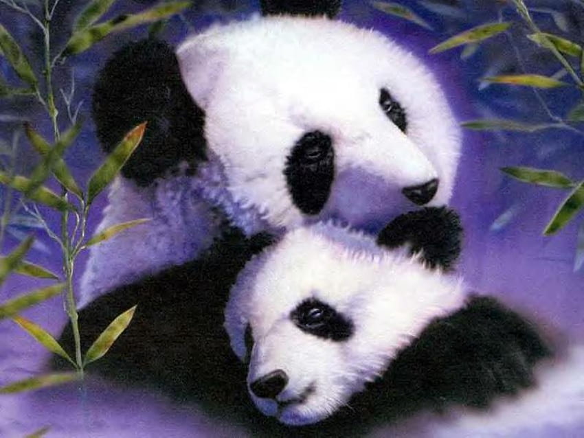 Sweet panda bears, sweet, couple, bear, panda HD wallpaper