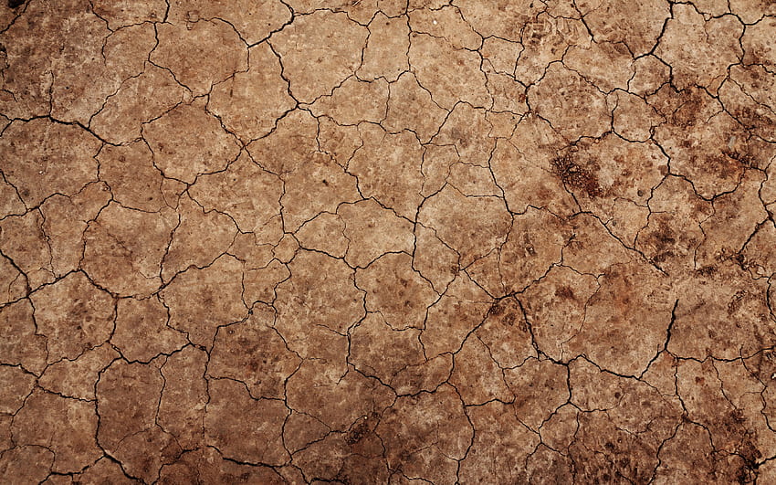getrocknete Bodenstruktur, Wüstenboden HD-Hintergrundbild