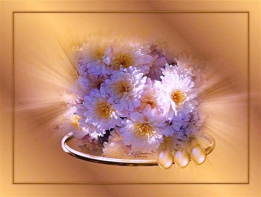 Une tache de soleil - nature morte, fleurs, lumière du soleil, arrangement, jaune et blanc Fond d'écran HD