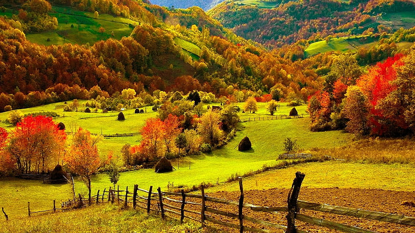 Fallen Sie auf die Farm, Felder, Bäume, Zaun, Hügel, Büsche HD-Hintergrundbild