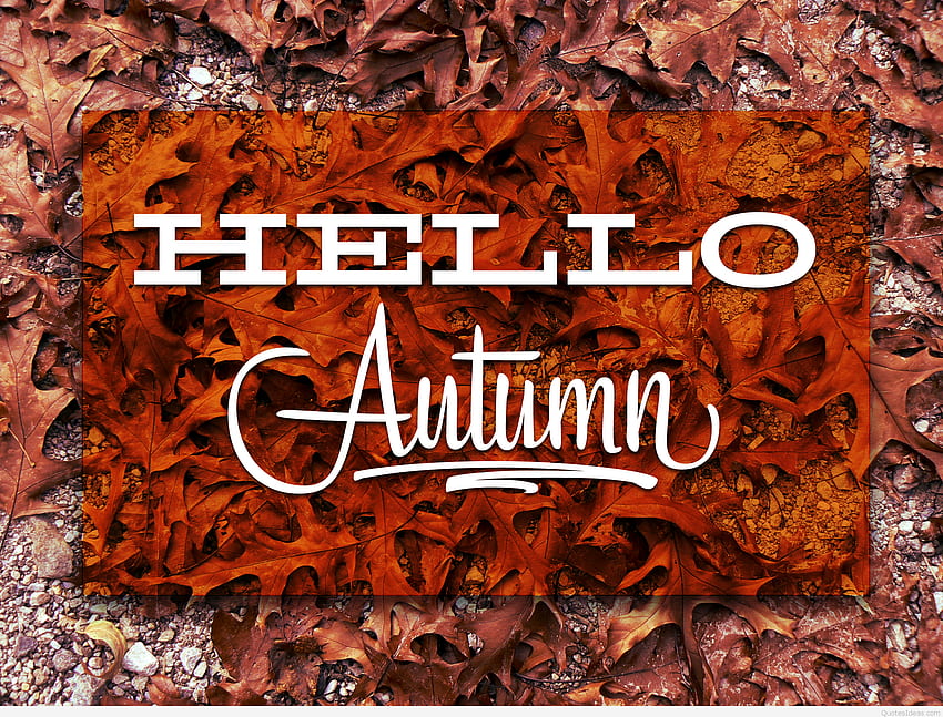 ✓[5 Hello Autumn Aesthetic, aesthetic peach HD phone wallpaper