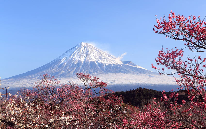 Fuji Related Keywords amp Suggestions Fuji [] for your , Mobile & Tablet. Explore Mt Fuji . Mt Fuji , Mount Fuji , Mt Everest, Aesthetic Mount Fuji HD wallpaper