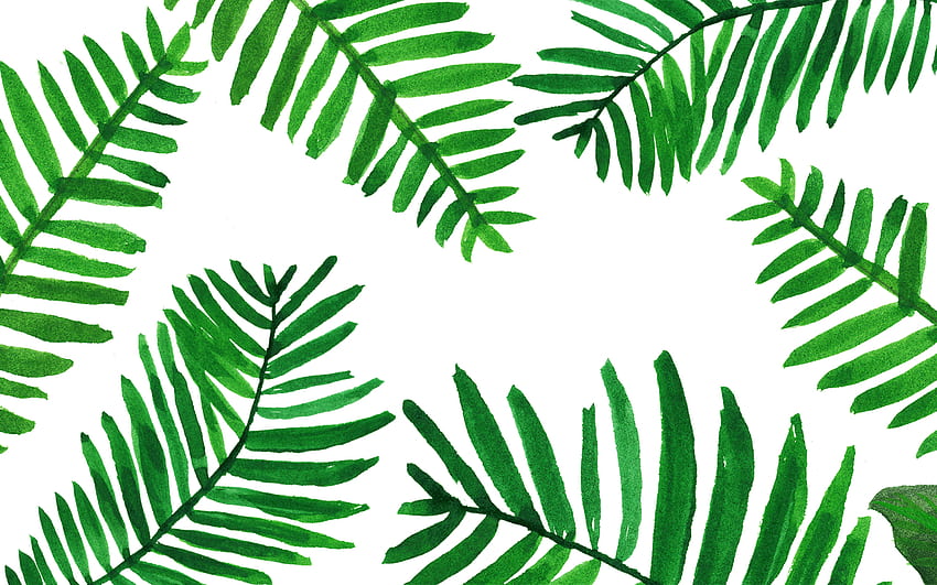 Palm Leaves . in 2019, Olive Greenaesthetic HD wallpaper