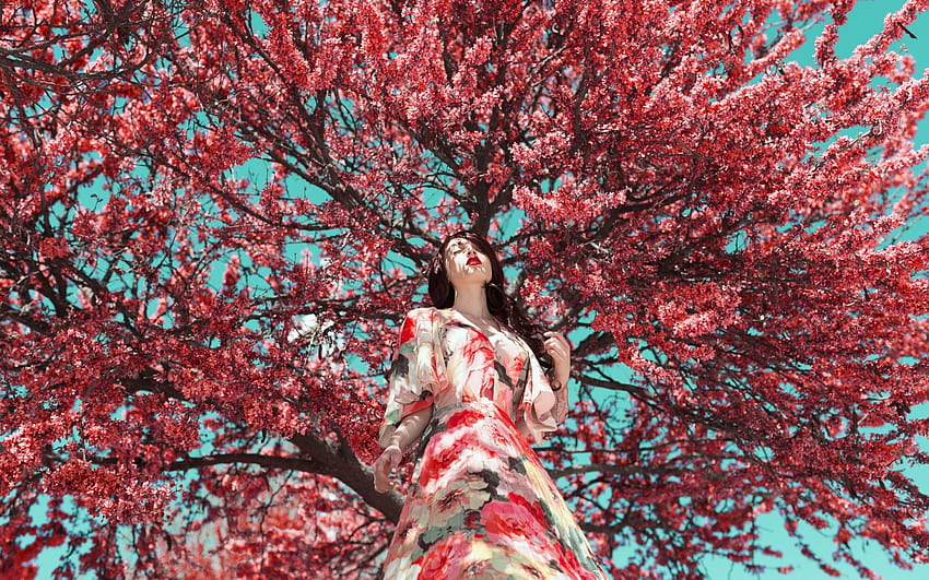 The tree, blue, model, girl, spring, tree, woman, pink, creative, blossom HD wallpaper