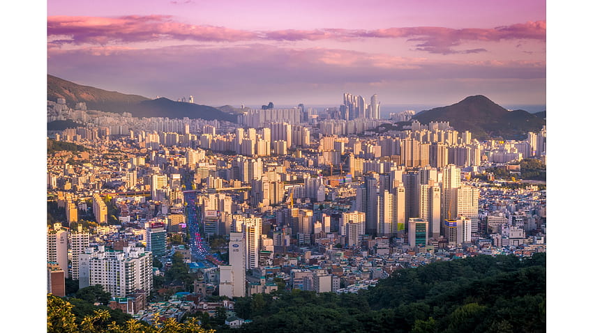 Overhead View Busan South Korea . HD wallpaper