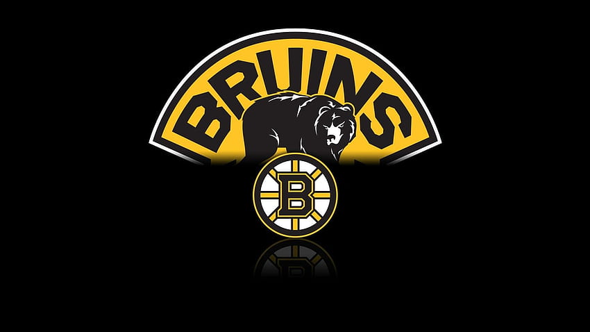 Boston Bruins, logotipo do Boston Bruins papel de parede HD