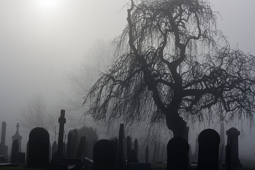Cementerio espeluznante, tumba oscura fondo de pantalla