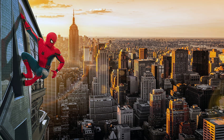 Spider Man & Background, Spider-Man Homecoming HD wallpaper | Pxfuel