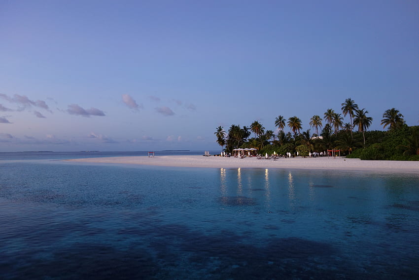 Natura, spiaggia, palme, sera, tropici, Maldive Sfondo HD
