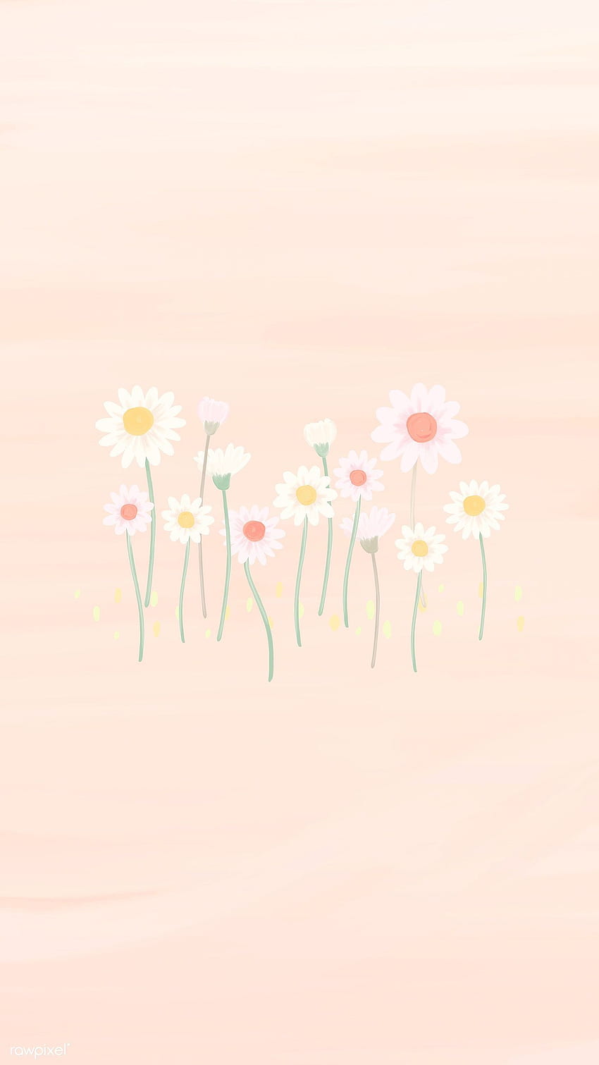 premium vector of Hand drawn daisy mobile phone vector. Flower phone , Daisy , Pretty, Simple Flower HD phone wallpaper