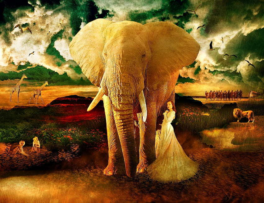 Masai Dreaming, monkey, abstract, fantasy, elephant, sky, lion, collage, female HD wallpaper