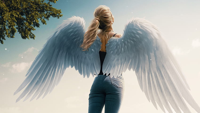 Angel, wings, artist, artwork, digital art, , , Angel Wings HD ...