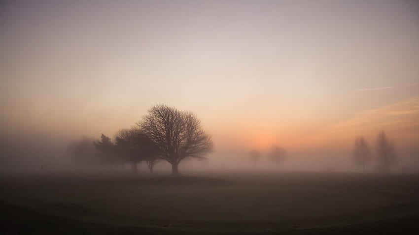 Fogy Sunrise, Misty Morning HD wallpaper