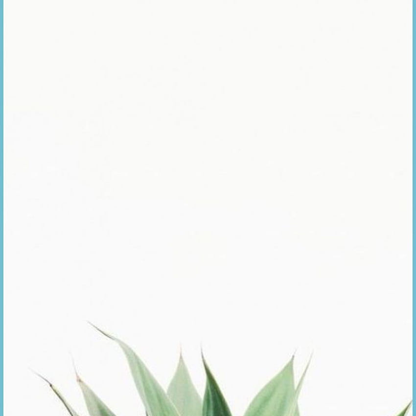 IPhone, Minimal, White - Plant , White - White Minimal, White Minimalist Plant HD phone wallpaper