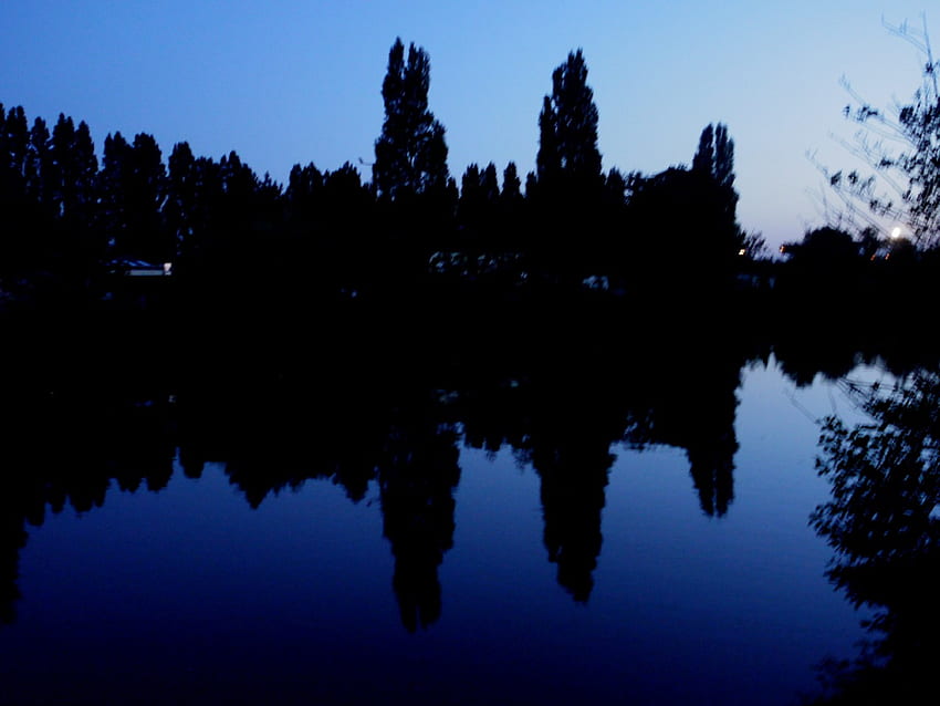 Night , night, river, reflexion, trees, water, lake HD wallpaper