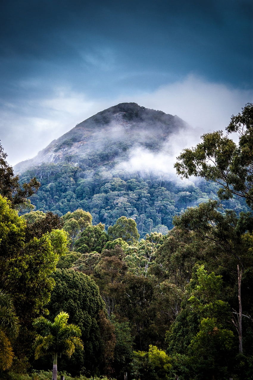 Natureza Paisagem Montanhas Nuvens Exibição de Retrato Névoa Árvores Floresta Floresta Tropical - Resolução: Papel de parede de celular HD