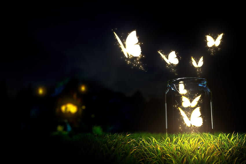 暗闇の中で光る蝶の光 - 美しい自然、美しい闇 高画質の壁紙