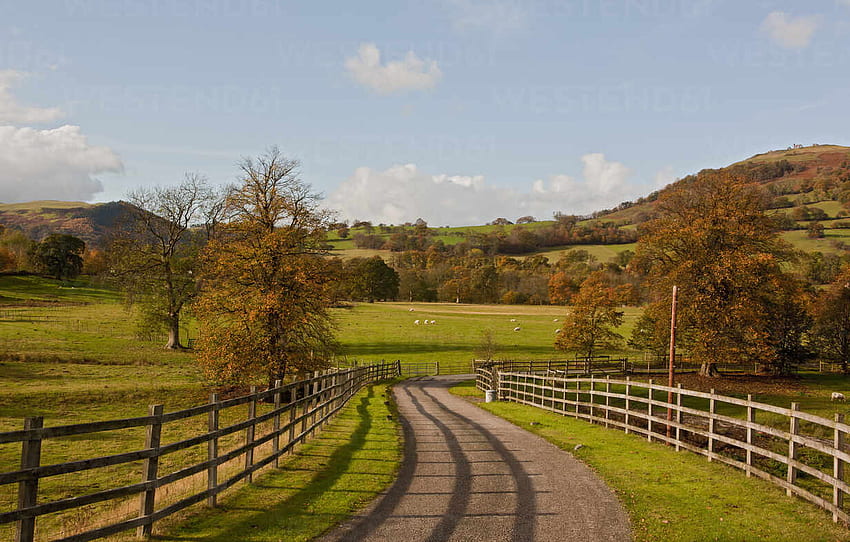 Path on the countryside in North Wales – Stock, Welsh Countryside HD wallpaper