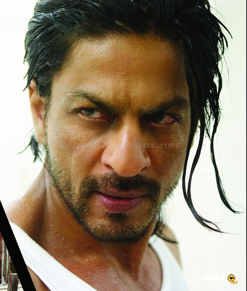 Shahrukh Khan. Shahrukh Khan 12. Fächer. Voll . Shahrukh Khan, Shah Rukh Khan Filme, Khan, Don 2 HD-Handy-Hintergrundbild