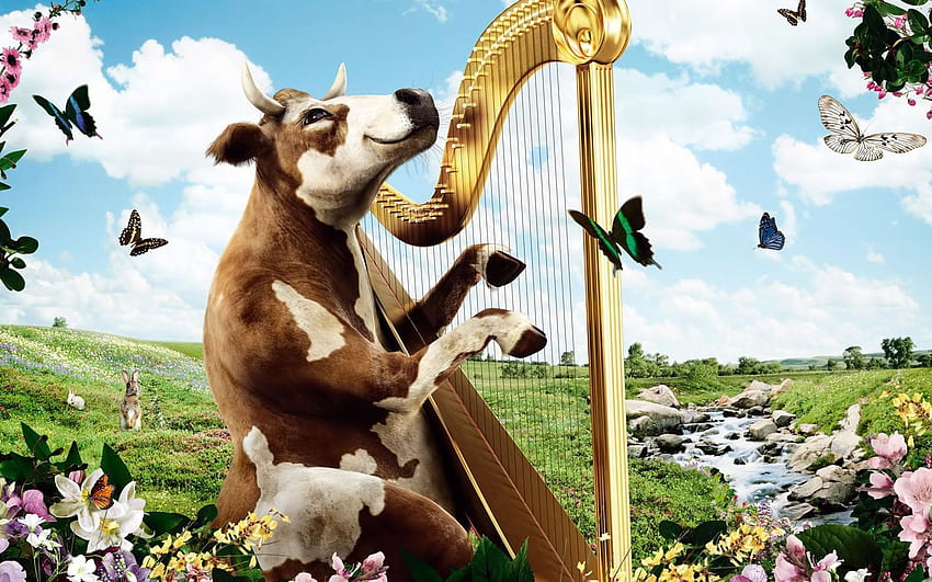 Cow playing the harp - Funny HD wallpaper