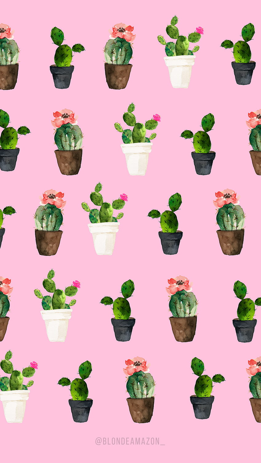 Cactus 72, Pink Cactus HD phone wallpaper | Pxfuel