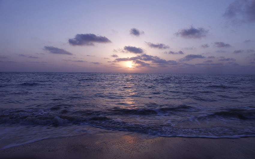 Tel Aviv Israel Beach Scenery Preview HD wallpaper | Pxfuel