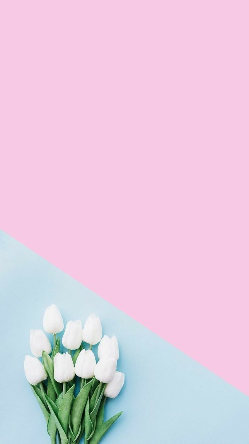 in 2019. Flower , Blue iphone, Pastel Pattern HD phone wallpaper