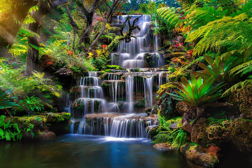 Exotischer Wasserfall, Pflanzen, exotisch, Kaskaden, Wasserfall, Blumen, schön, Teich HD-Hintergrundbild