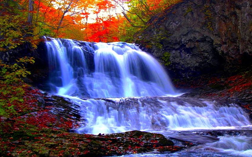 森の滝、秋、滝、カスケード、森 高画質の壁紙
