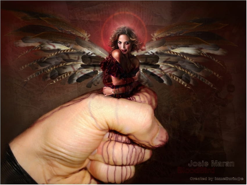 Josie Bloodbird, крила, крилати, птица, кръв, жена, ръка, стискане HD тапет