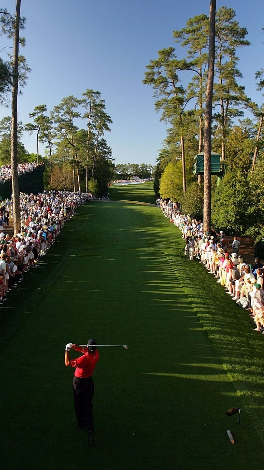 Tiger Woods, Mestres,. Campos de golfe, Campos de golfe, Campos de golfe Papel de parede de celular HD