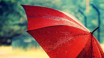 spring rain umbrella