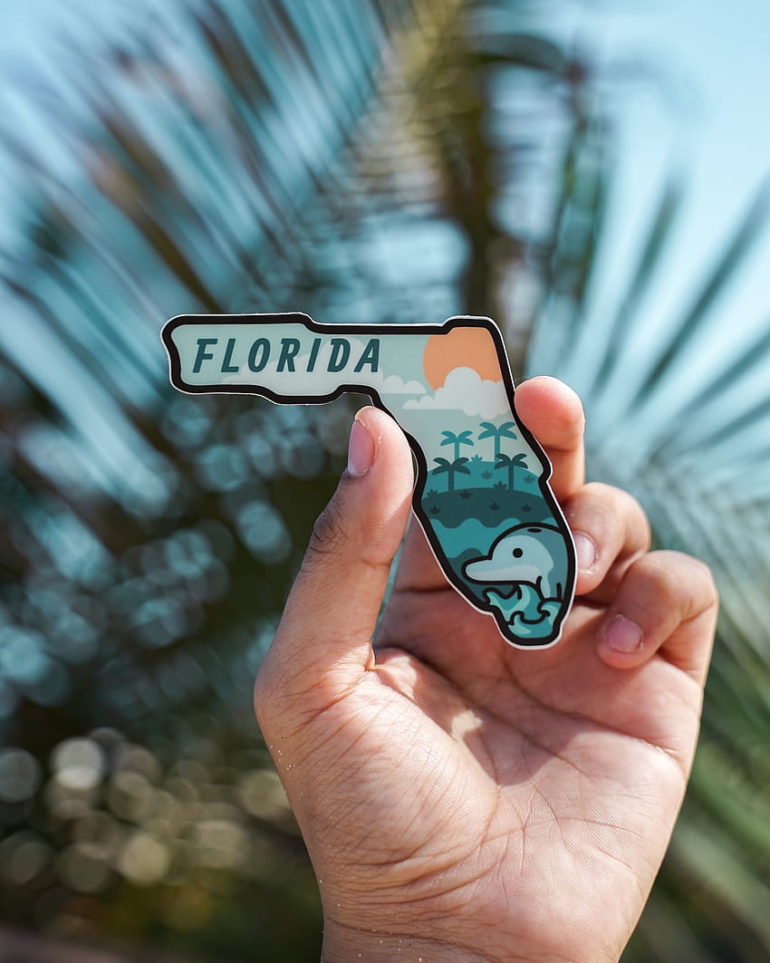 Florida [Scenic Travel ]. on Unsplash, Florida Scenery iPhone HD phone wallpaper