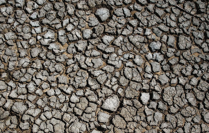 surface, cracked, earth, drought, land, drought, surface, cracks for , section текстуры HD wallpaper