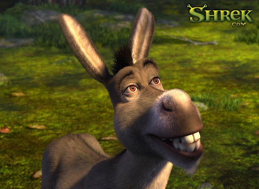 Shrek Donkey, Funny Donkey HD wallpaper