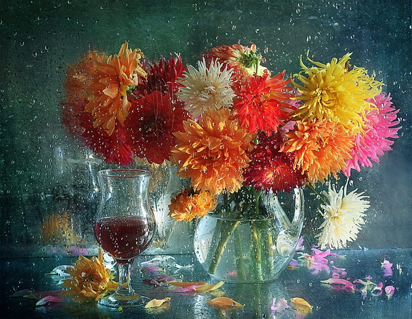 Still life, graphy, vase, water drops, beautiful, beauty, wet, petals, glass, flowers, harmony HD wallpaper