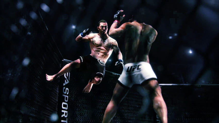 UFC mma fighting martial arts mixed (6) background HD wallpaper