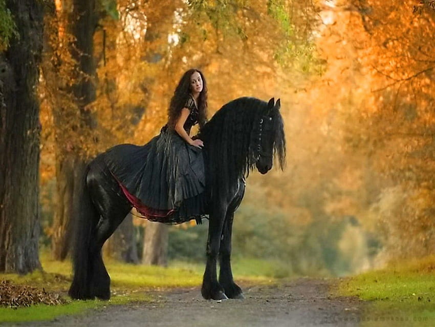 Beauties in black, trees, autumn, horse, woman HD wallpaper