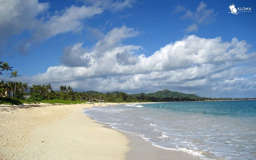 Hawaii Scenic Kailua Beach Hd Wallpaper Pxfuel